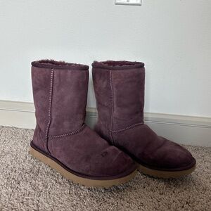 Purple classic short Uggs size 9